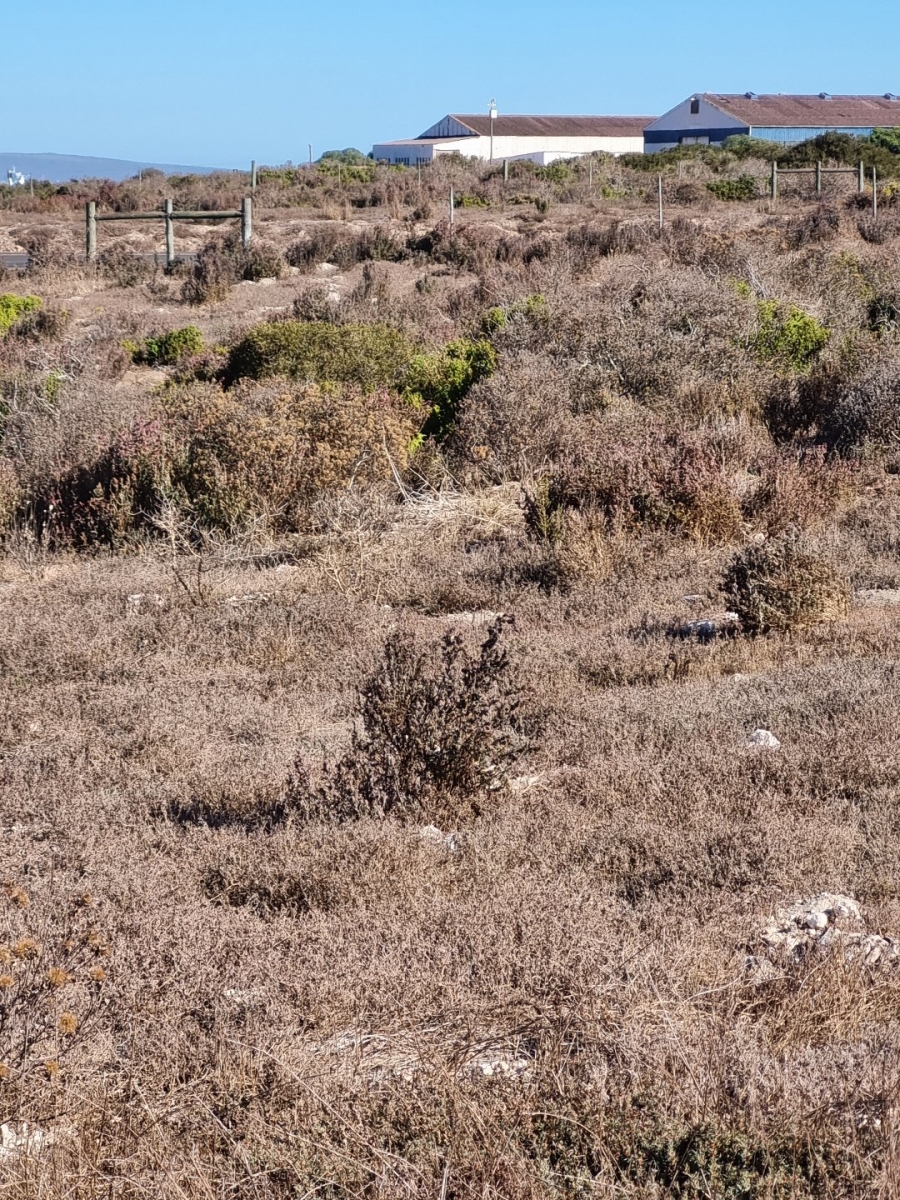  Bedroom Property for Sale in Saldanha Industrial Western Cape